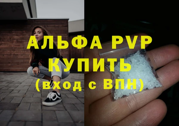 ПСИЛОЦИБИНОВЫЕ ГРИБЫ Вязники