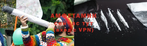 ПСИЛОЦИБИНОВЫЕ ГРИБЫ Вязники