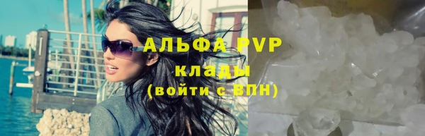 прущий лед Вяземский