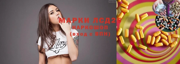 ПСИЛОЦИБИНОВЫЕ ГРИБЫ Вязники