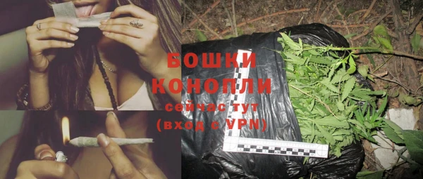 ПСИЛОЦИБИНОВЫЕ ГРИБЫ Вязники