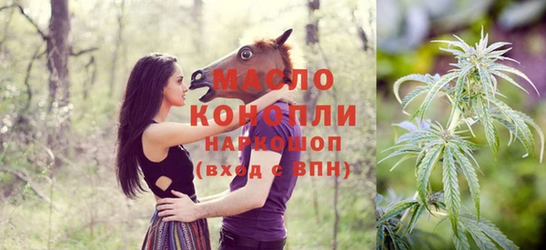 прущий лед Вяземский