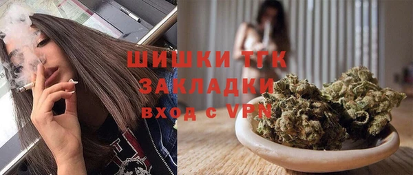 прущий лед Вяземский