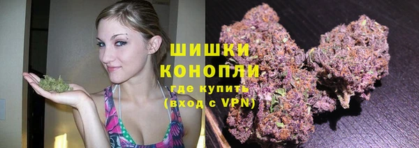 ПСИЛОЦИБИНОВЫЕ ГРИБЫ Вязники