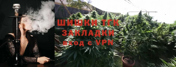 ПСИЛОЦИБИНОВЫЕ ГРИБЫ Вязники