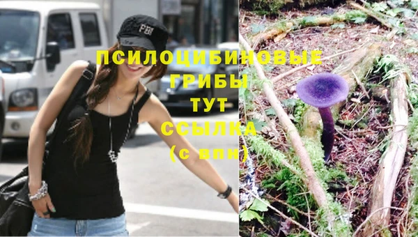 MESCALINE Вязьма