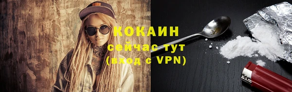 прущий лед Вяземский